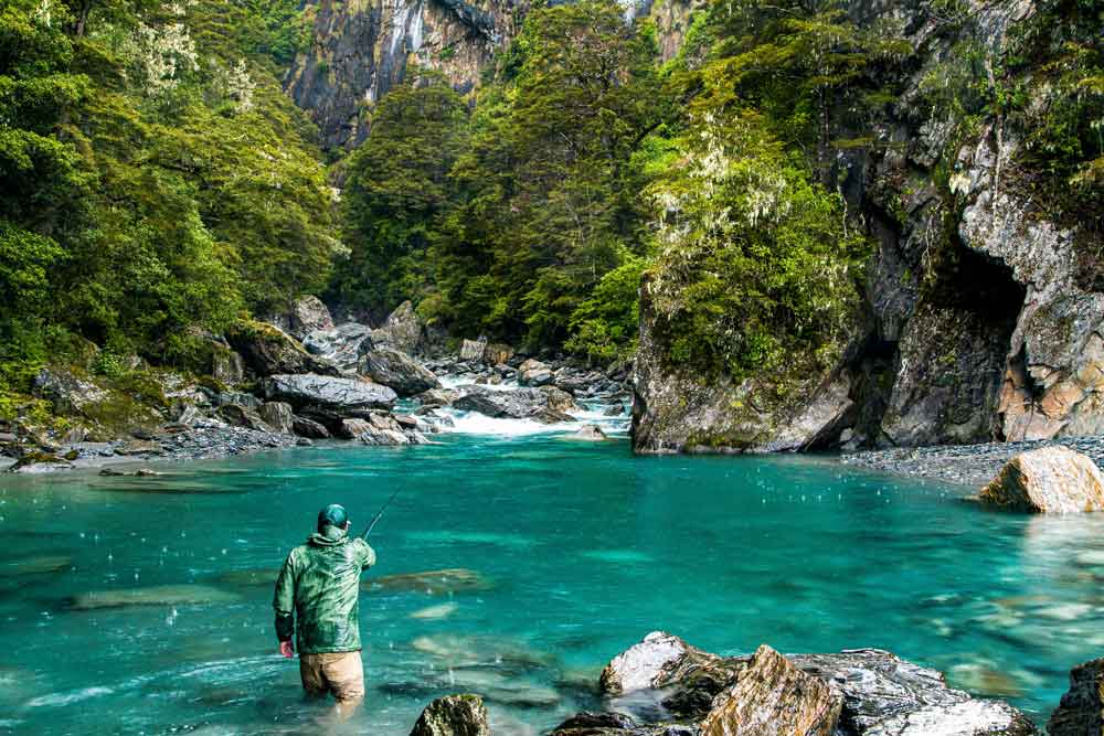 Fish with ME in New Zealand