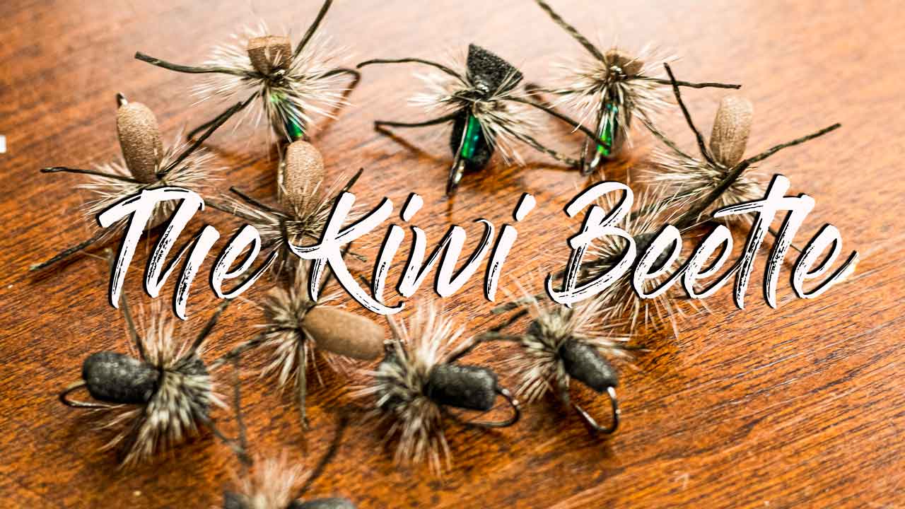 The Kiwi Beetle