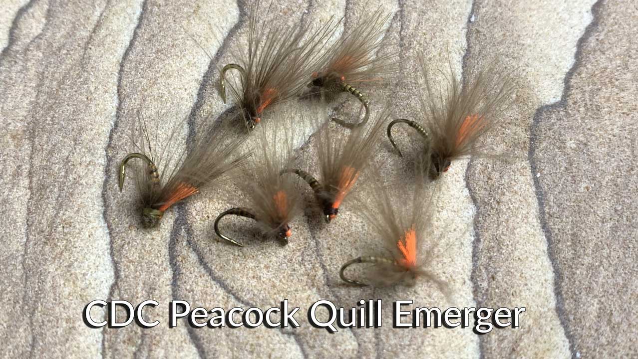 CDC Peacock Quill Emerger