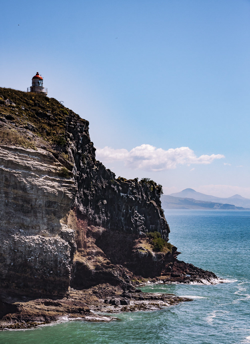 Royal Albatross Center Lighthouse